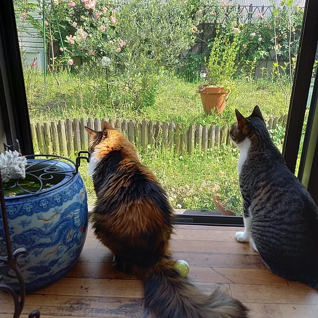 yukoさんの実例写真