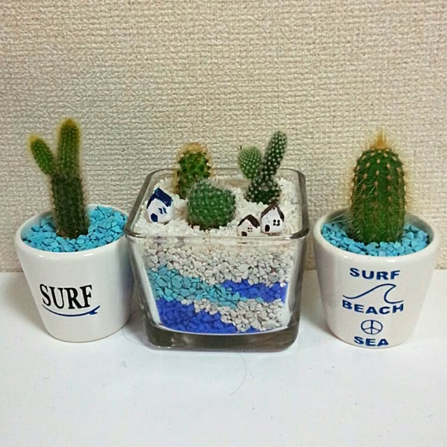 rk5kuuさんの実例写真