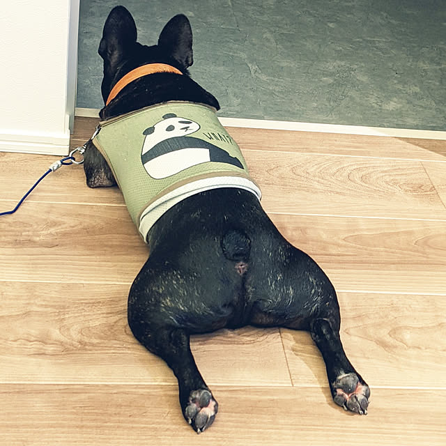 Ameさんの実例写真