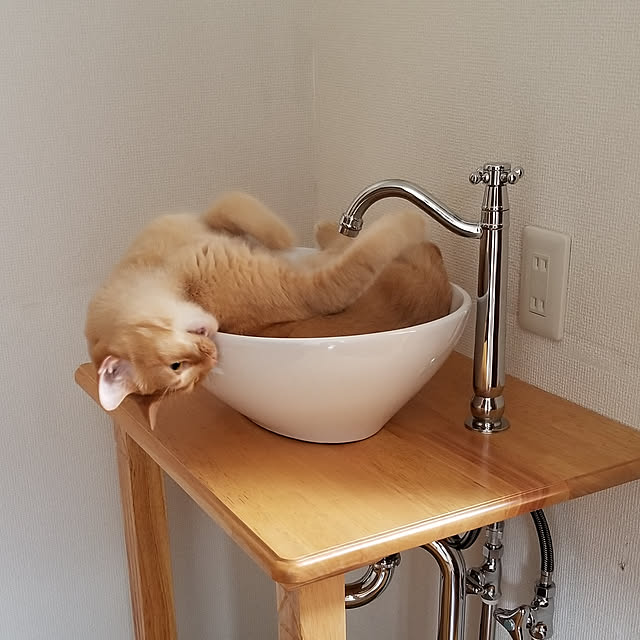 mi_iさんの実例写真