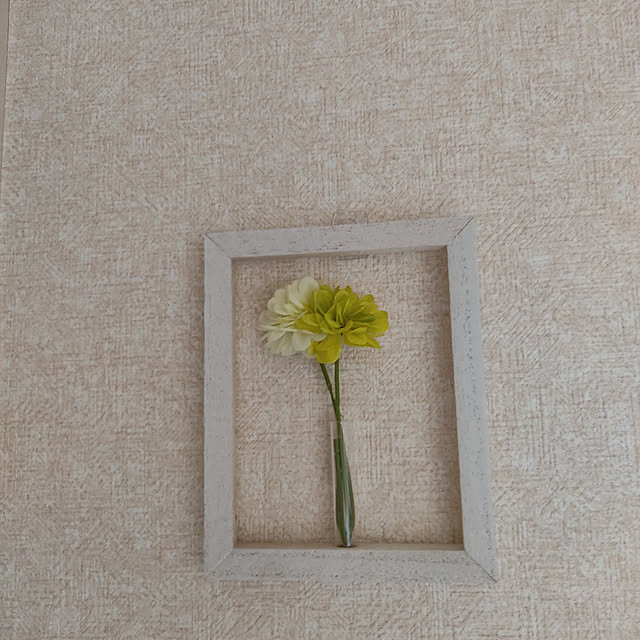 ri-sanさんの実例写真