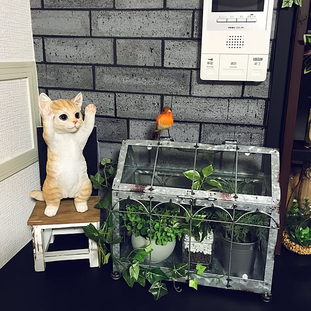 pidocchioさんの実例写真