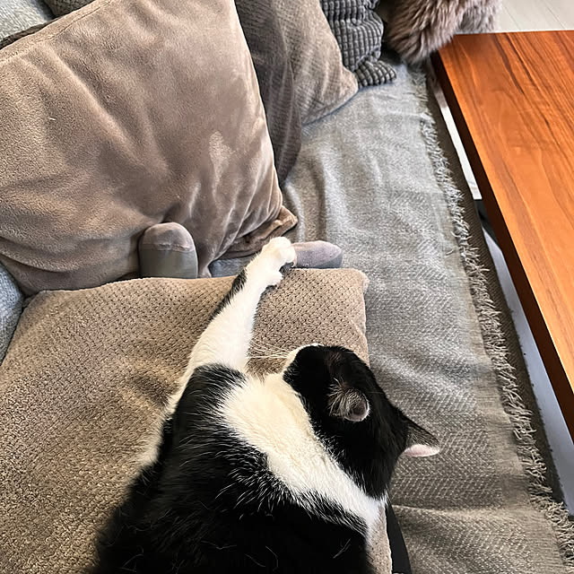 kojimasaさんの実例写真