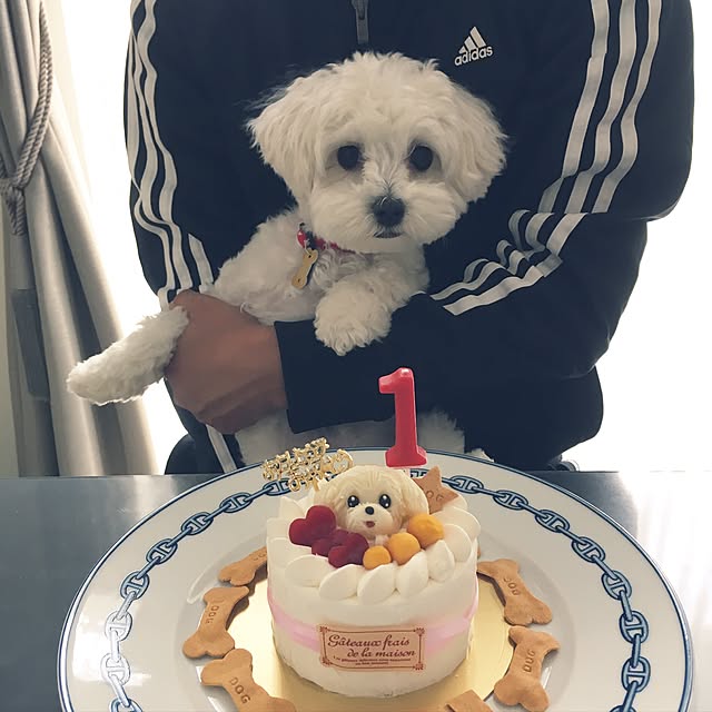 whiteさんの実例写真