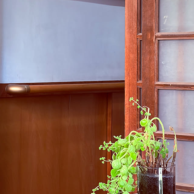 chacoさんの部屋