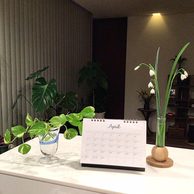 houenさんの実例写真