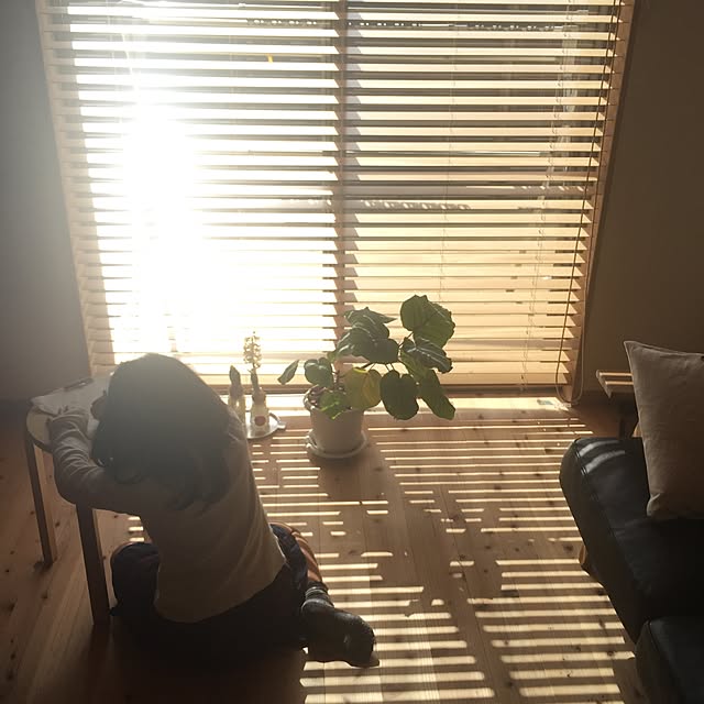 emuさんの実例写真