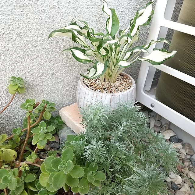 meiさんの部屋