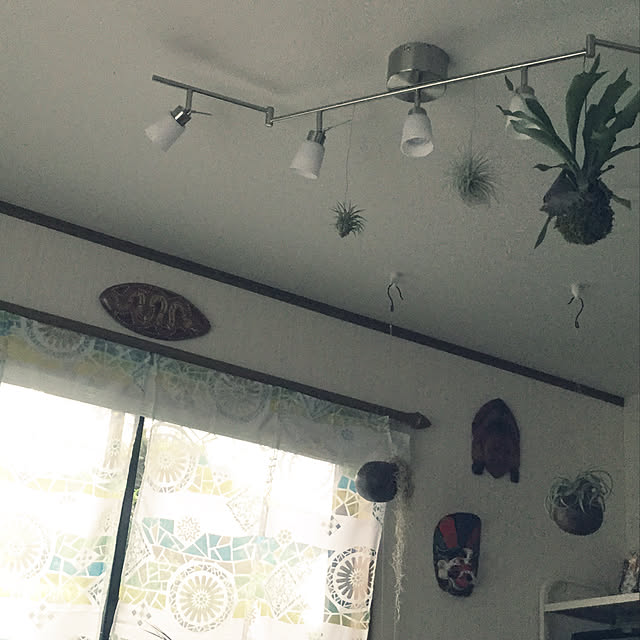 coroncooさんの実例写真
