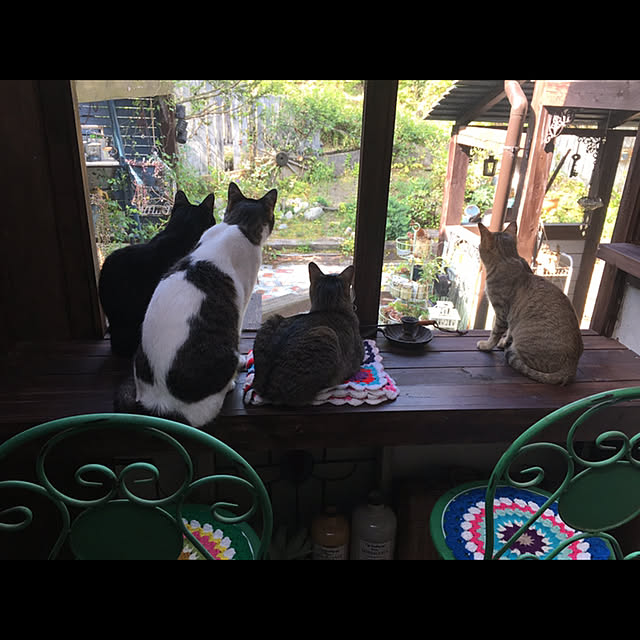 marusanさんの実例写真