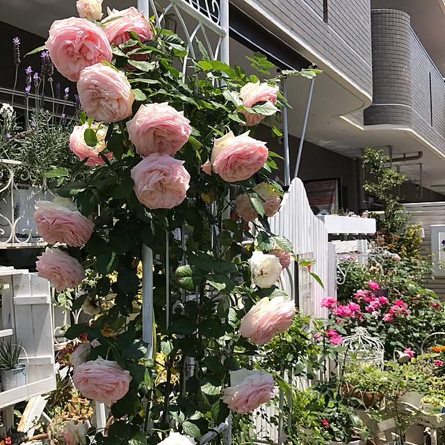 hideさんの実例写真