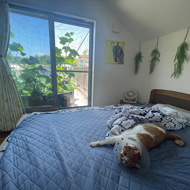 Harukiさんの実例写真