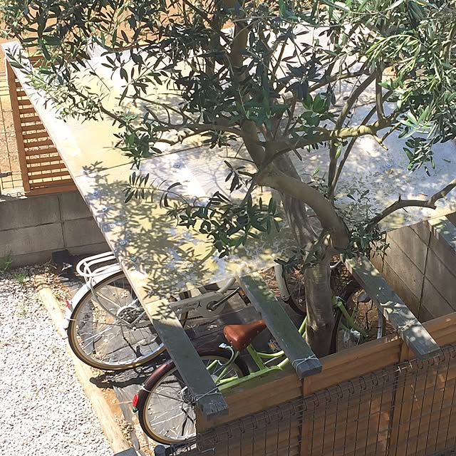 chiitamaさんの実例写真
