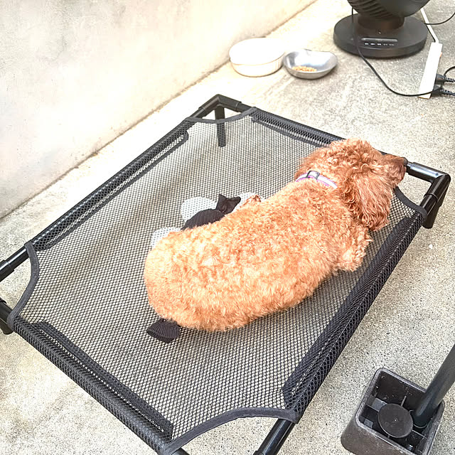 MOMOMAMAさんの部屋