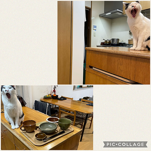 nobikoさんの実例写真