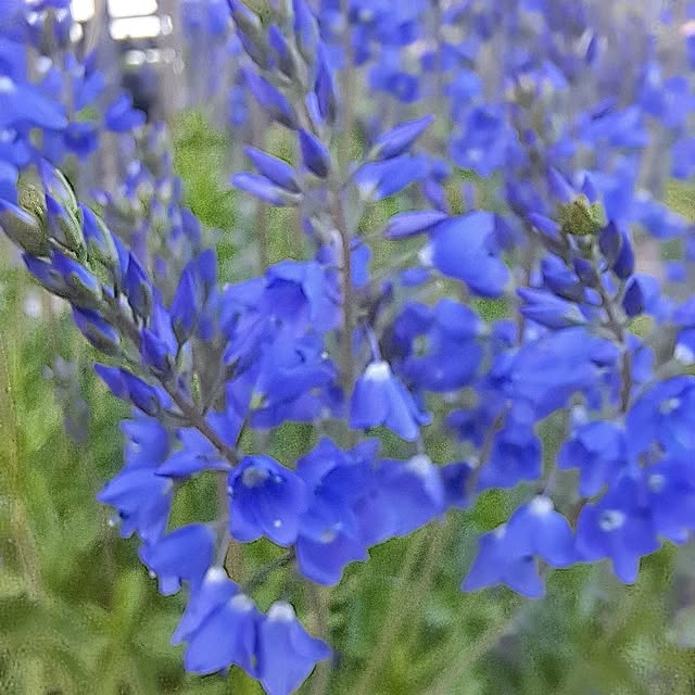 tadano-niwaさんの実例写真