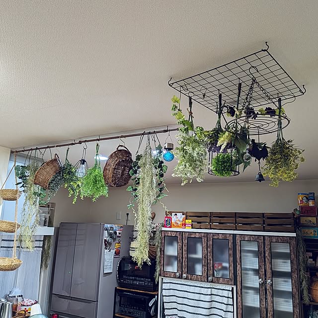 umeboshicyanさんの部屋