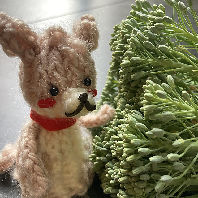 manduonmaさんの実例写真