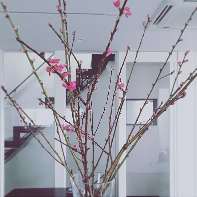 uchizukuriさんの実例写真