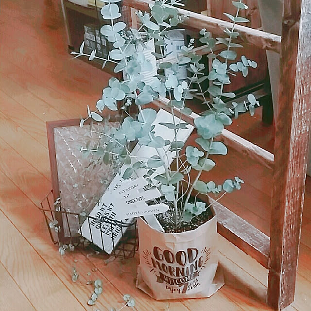 Minaharuさんの実例写真