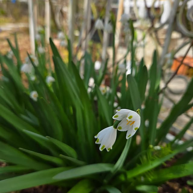 mayumiさんの部屋