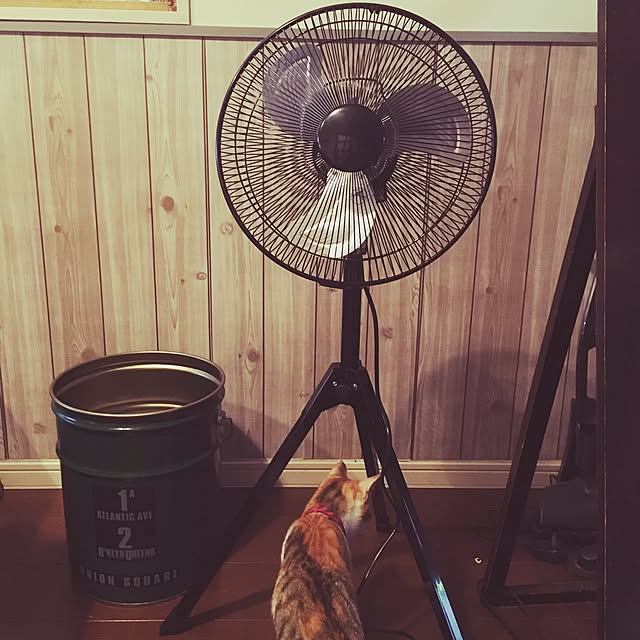 Kumiさんの実例写真