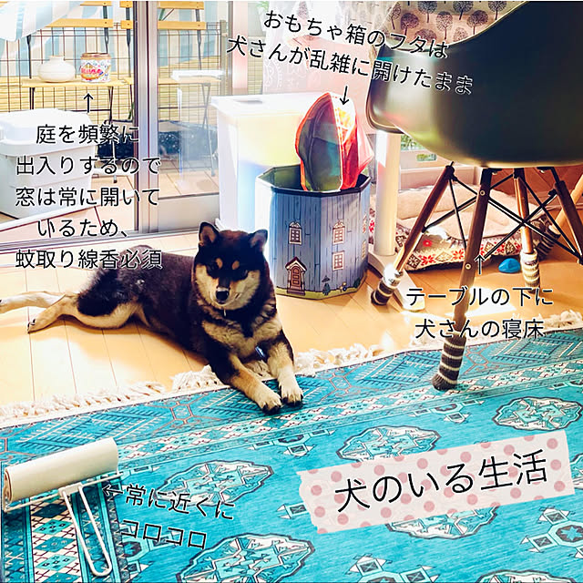 mo-nosukeさんの実例写真