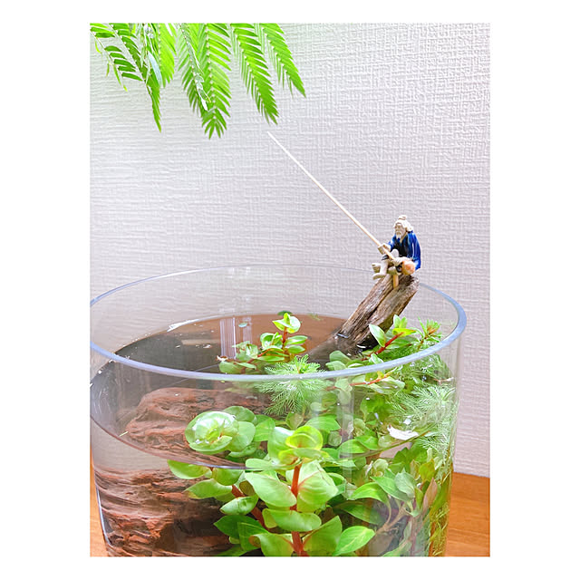 yukoさんの実例写真