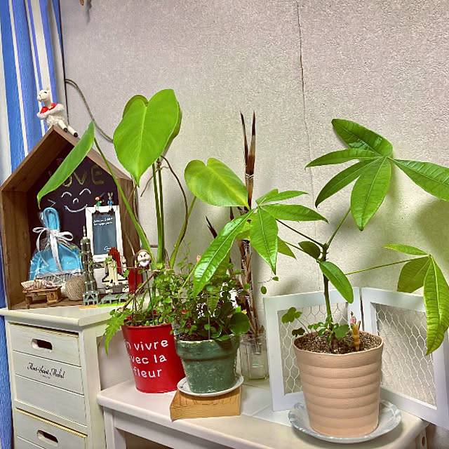 takakoさんの部屋