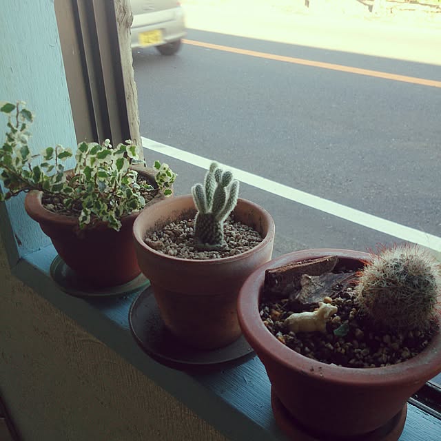 sproutさんの実例写真