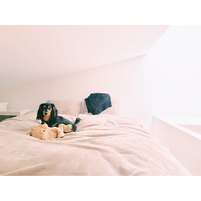 RYさんの実例写真