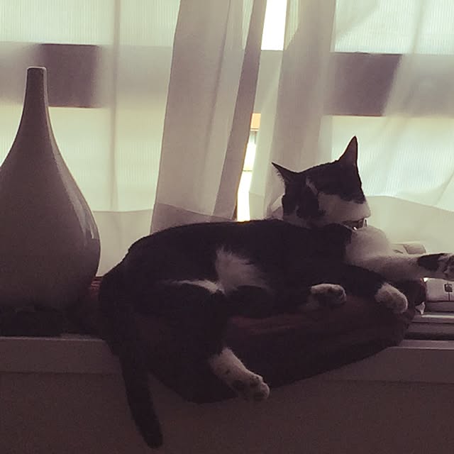 miruさんの実例写真