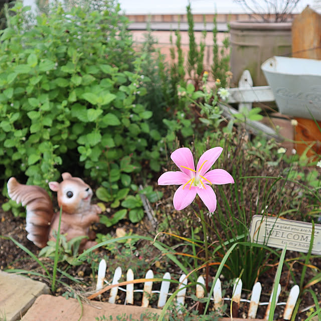 S.homeさんの実例写真
