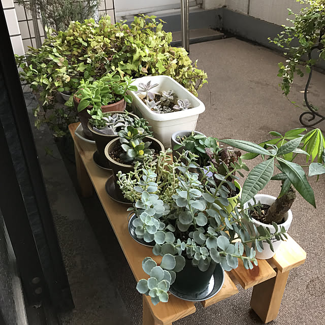 rinrinさんの実例写真