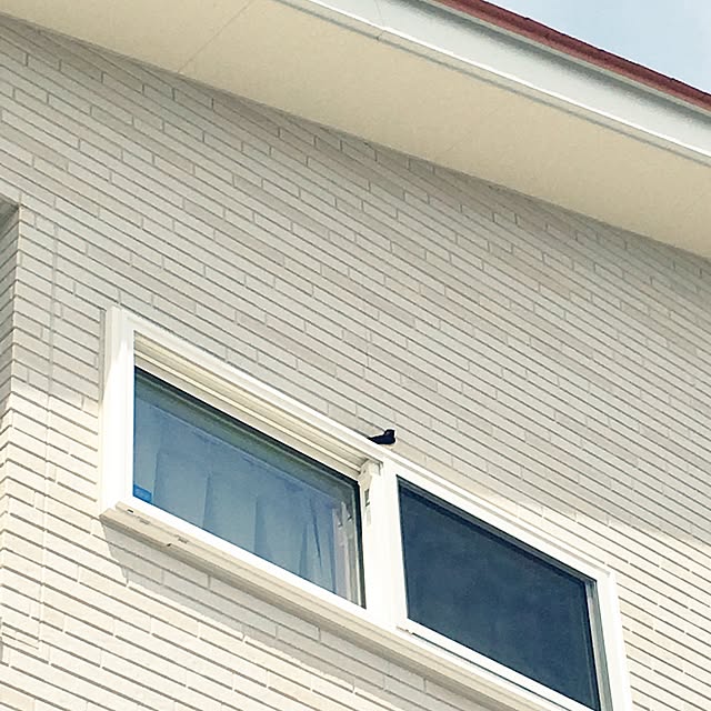 msk83さんの実例写真