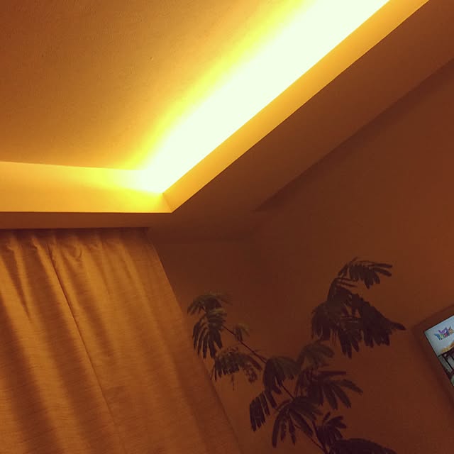 machaさんの実例写真