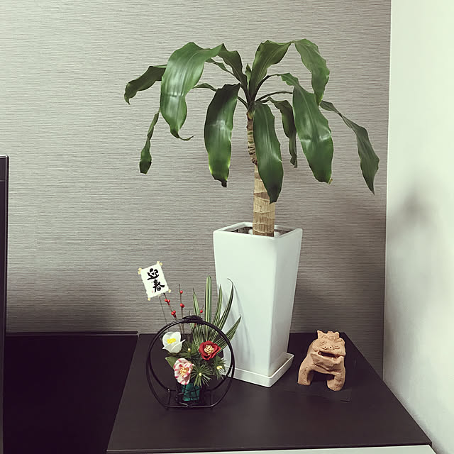 tulipさんの実例写真