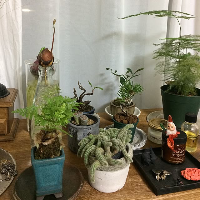 Aiさんの実例写真