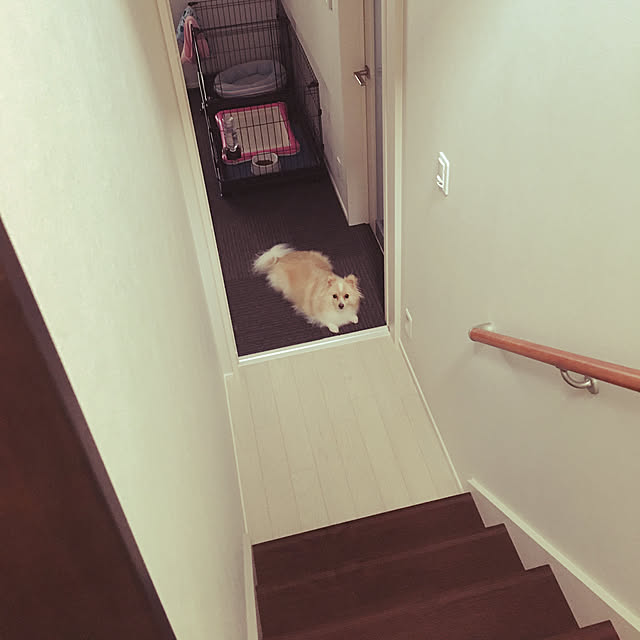 9miyu3さんの実例写真