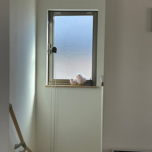 hatsugaさんの部屋