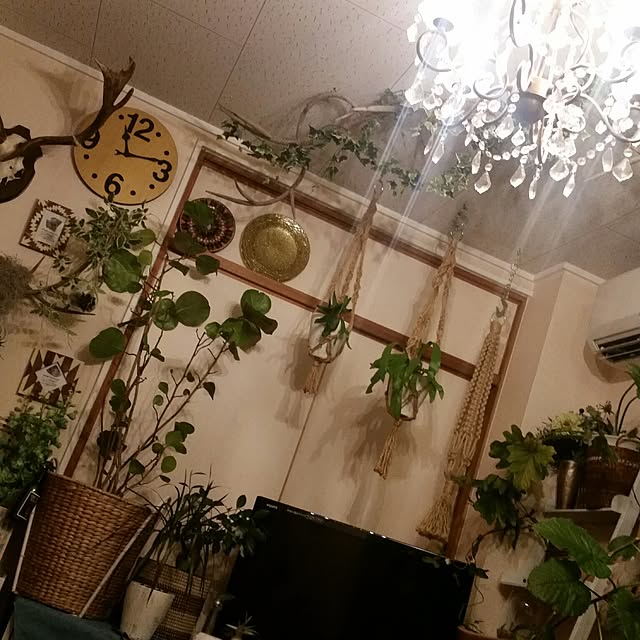 RenaOkamaeさんの実例写真