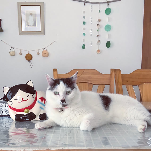 miiko3さんの実例写真