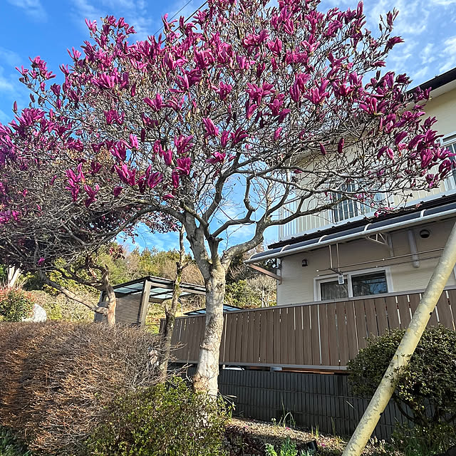 mogumoguさんの部屋