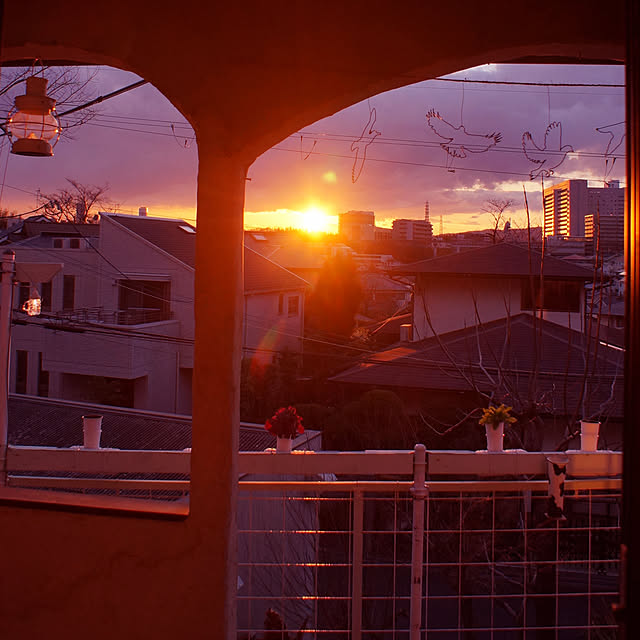 littlejoyさんの実例写真