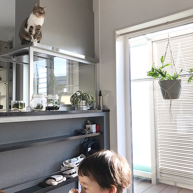 tiger7327さんの実例写真