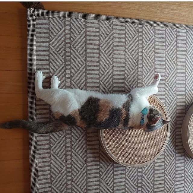 fukuさんの部屋