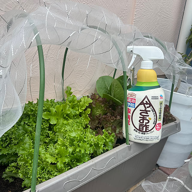 Megumiさんの部屋