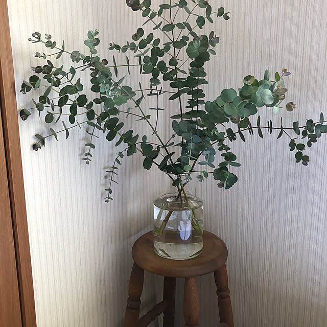 satoさんの部屋