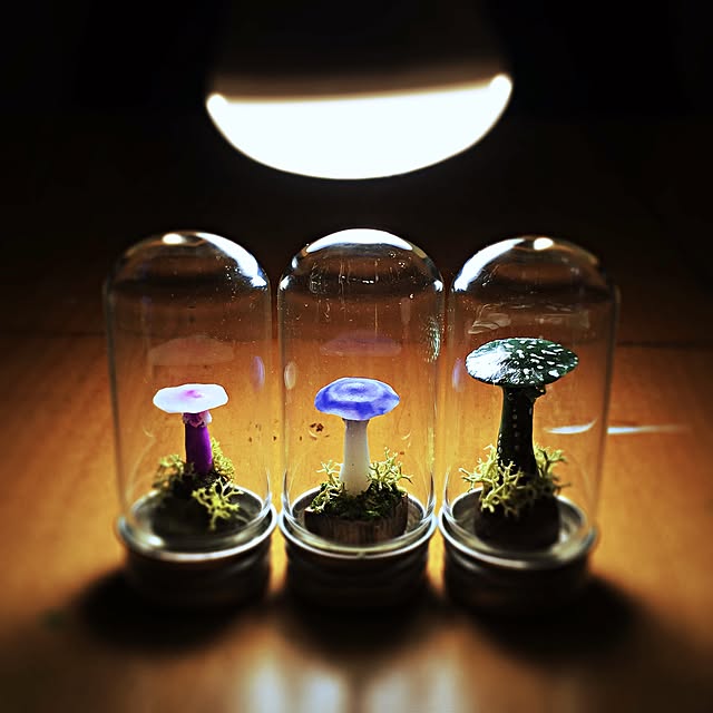 ramuchop3000さんの実例写真