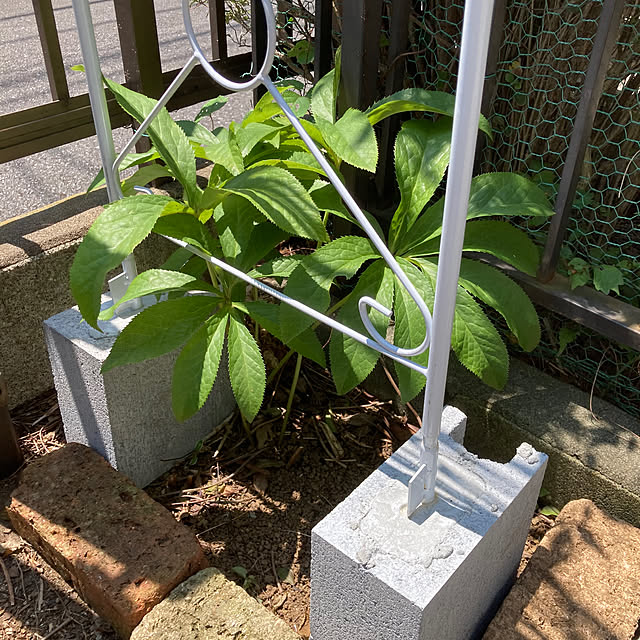 onokenkoさんの部屋